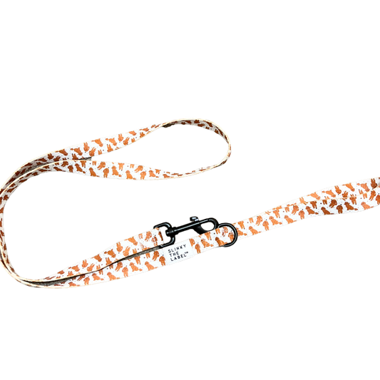 The "Oodles" Leash
