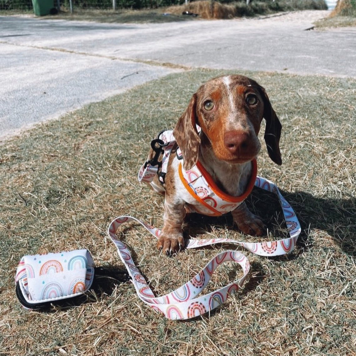 Wrapped in Rainbows - Poop Bag Holder