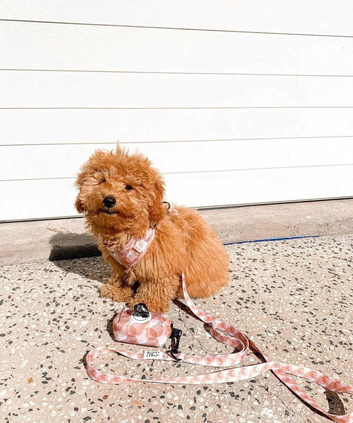 Caramel Camo - Harness