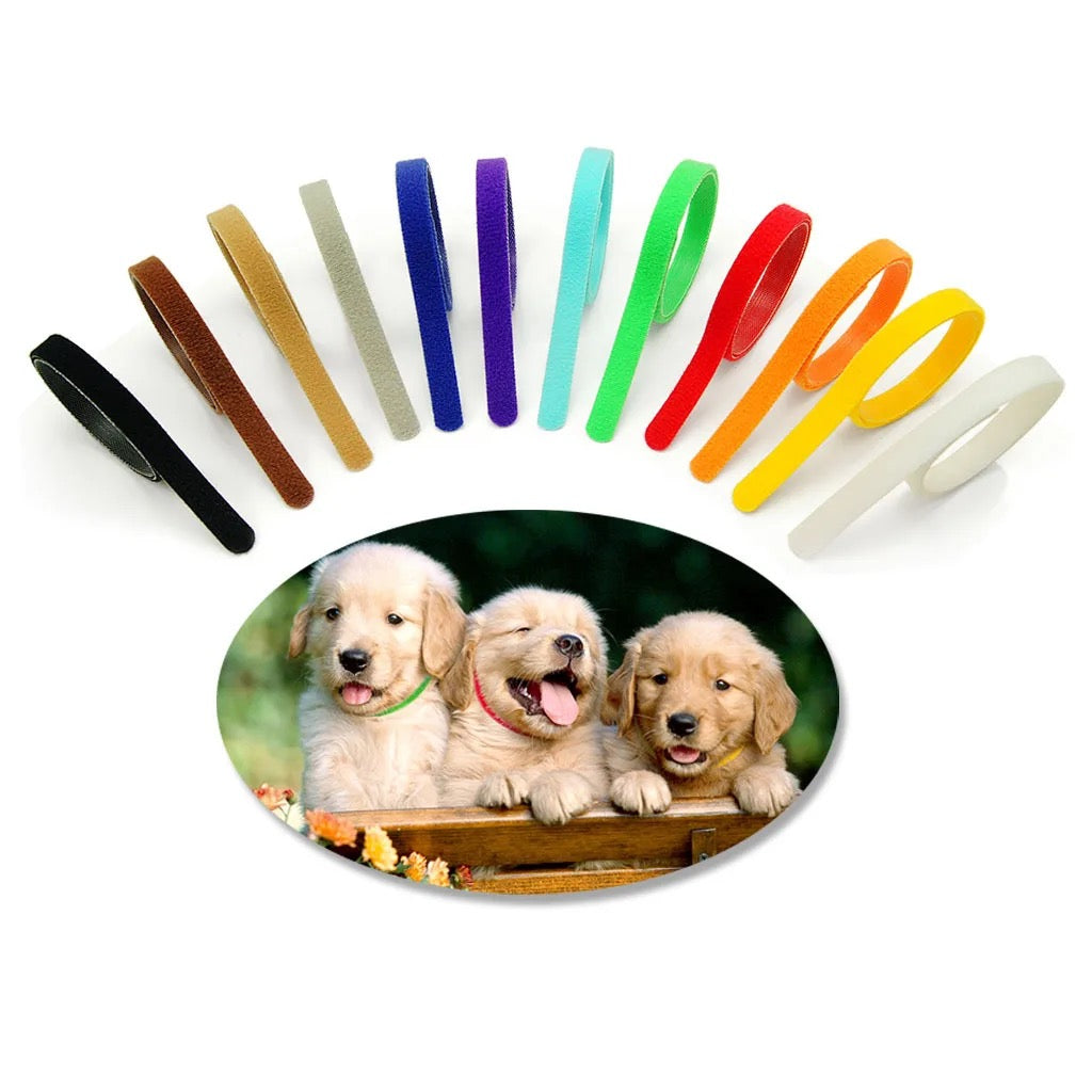 Puppy ID Collars