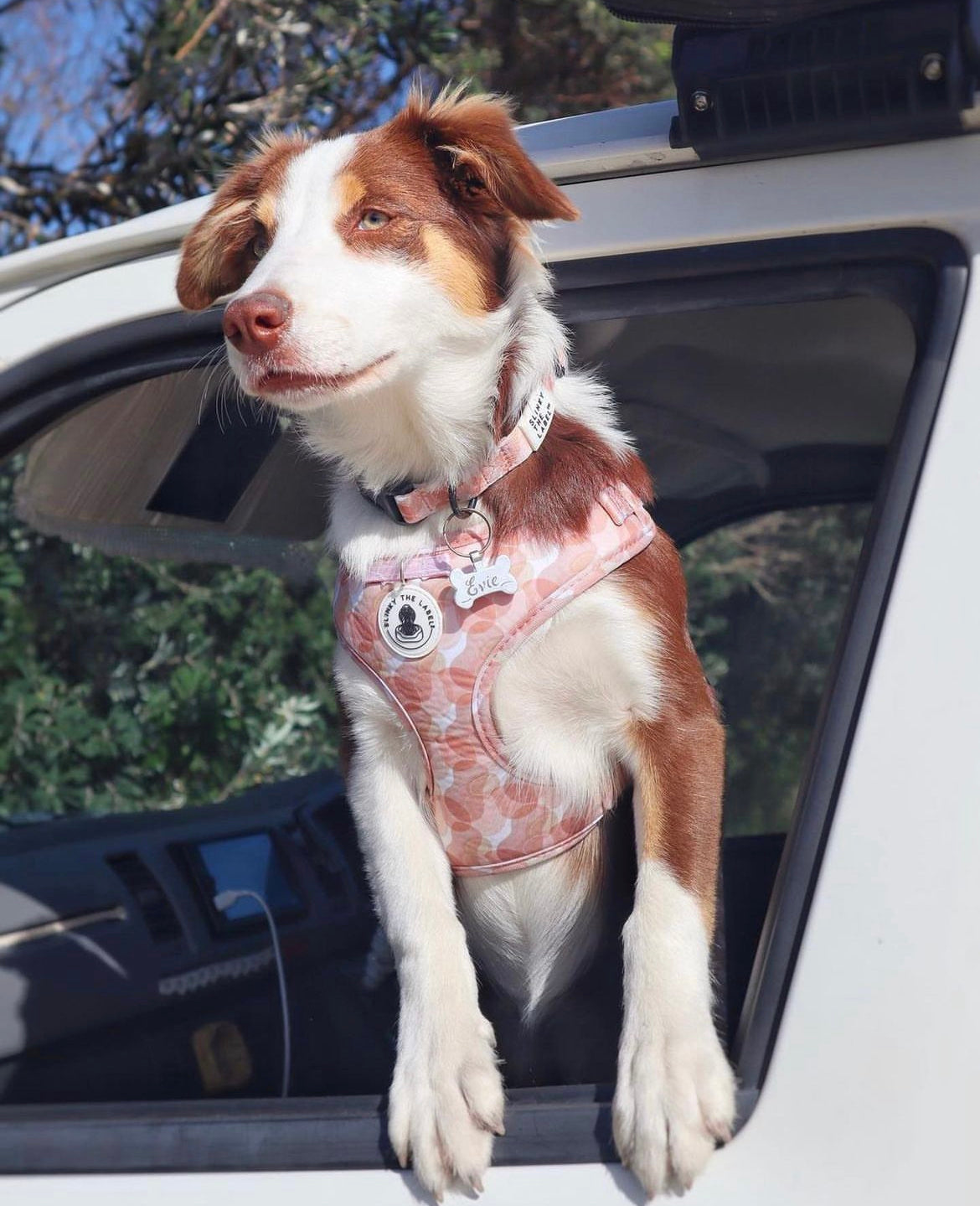 Caramel Camo - Harness